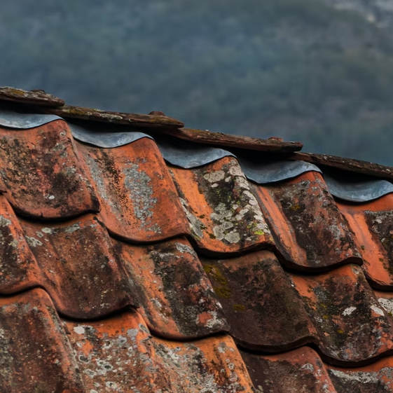 The most common roofing problems you will encounter The most common roofing problems you will encounter